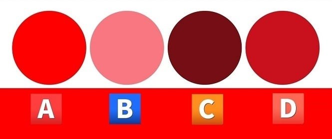 Hãy chọn 1 vòng tròn nhé!