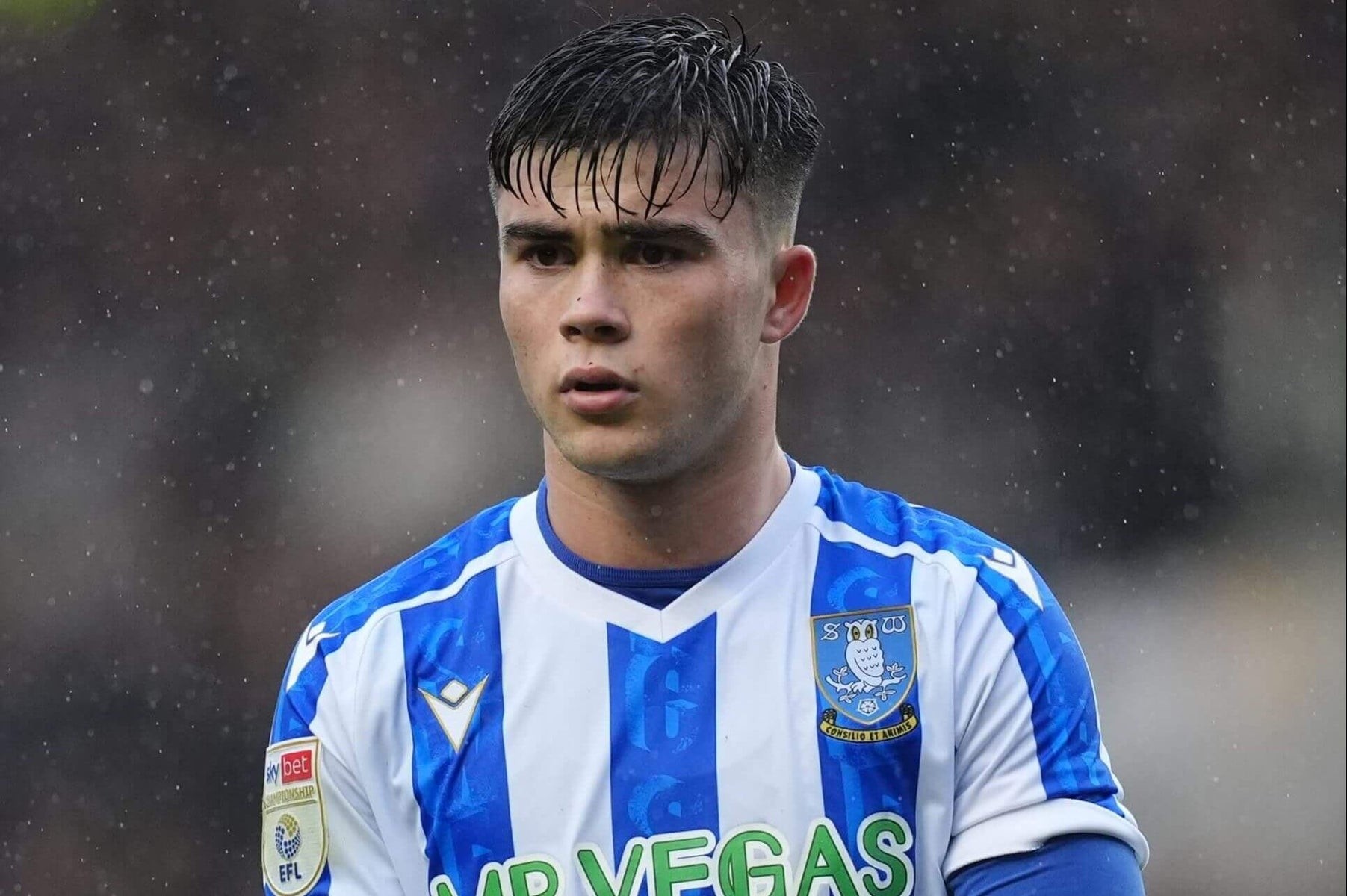 Harry Amass đang khoác áo Sheffield Wednesday tại Championship.