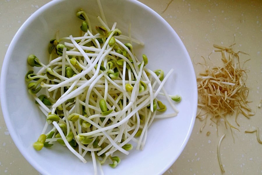 Lưu ý, sau mỗi 2–3 ngày nên mở hộp kiểm tra, nếu khăn giấy bị ướt thì thay lớp mới để tránh ẩm mốc.

