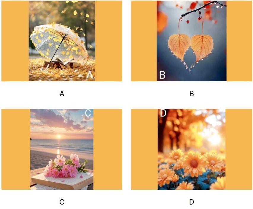 Hãy chọn 1 bức tranh để biết sau tuổi 50 bạn sẽ thế nào nhé!