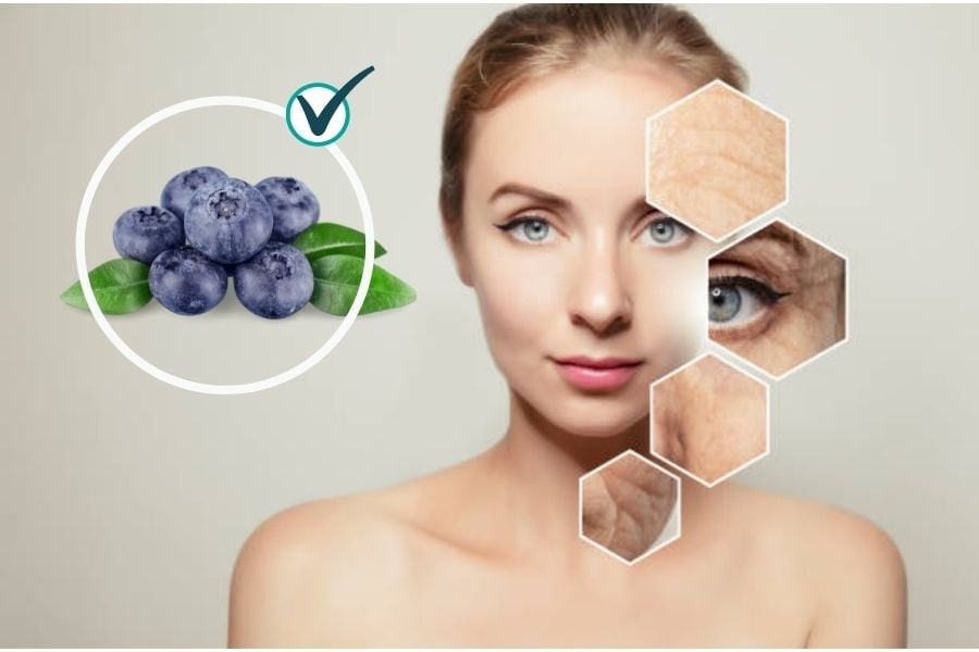 Việt quất được xem là một trong những loại quả giàu anthocyanin nhất.