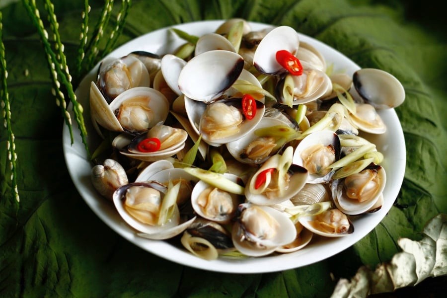 Ngao là loài nhuyễn thể sống nhờ nước. Khi bảo quản sai cách hoặc ngâm quá mặn, cơ thể ngao mất nước, dẫn đến thịt co lại. 