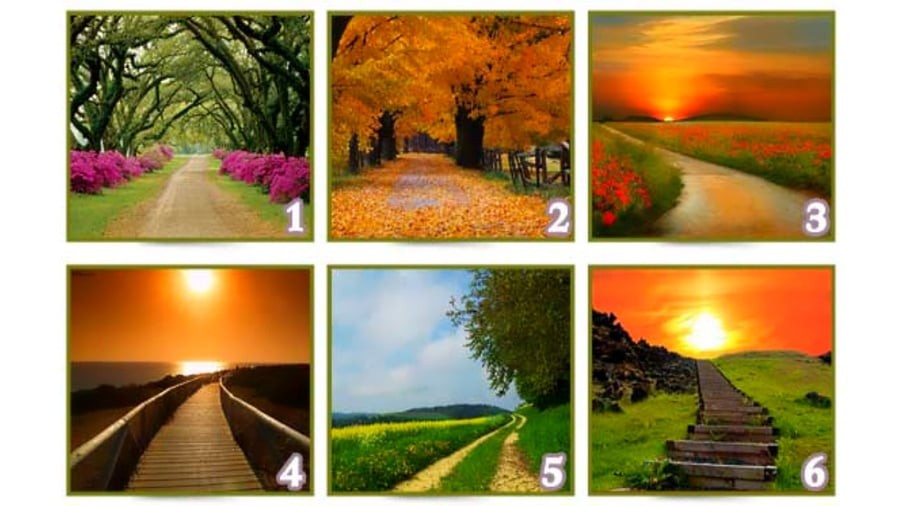 Chọn một con đường cho biết tương lai bạn sẽ thành công hay không?