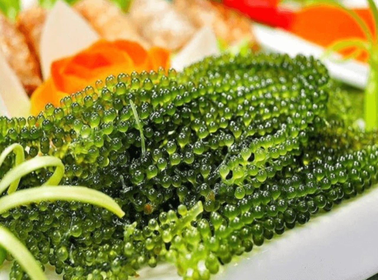 Rong biển rất giàu polysaccharid tảo nâu, canxi, kali và các khoáng chất khác, giúp thúc đẩy lợi tiểu, đào thải natri và hạ huyết áp .