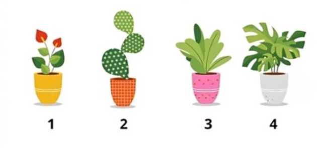 Hãy chọn 1 chậu cây để biết độ tuổi trong tâm hồn của bạn nhé!