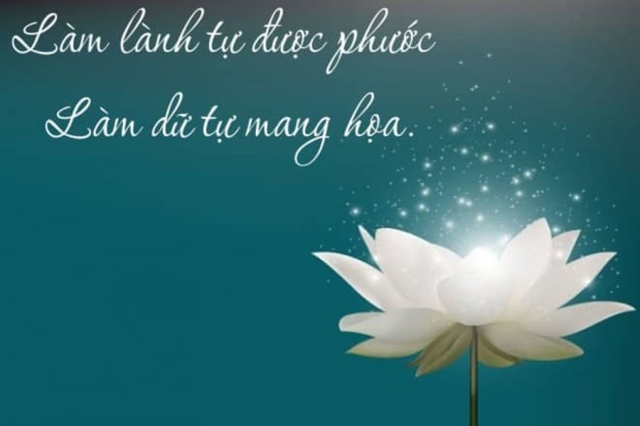 Vũ trụ không cần bạn giúp ghi điểm, nó cần bạn sẵn lòng buông bỏ, học hỏi và vươn lên. (Ảnh minh họa)