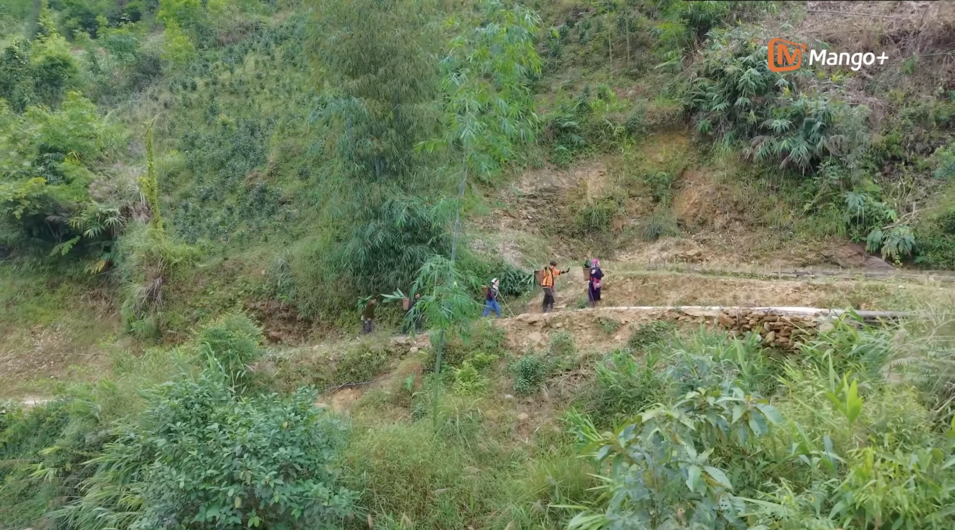 Ảnh màn hình 2026-01-11 lúc 14.56.23