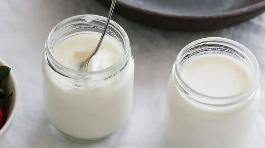 Sữa chua không đường giúp hệ tiêu hóa giảm tình trạng đầy hơi, khó chịu sau bữa ăn