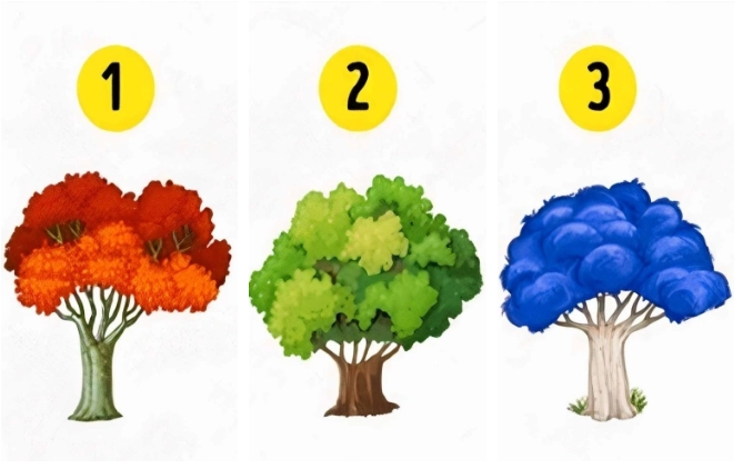 Hãy chọn 1 cái cây nhé!