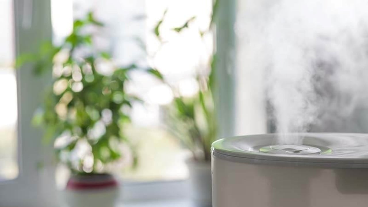 Những ngôi nhà có khả năng thu hút may mắn thường có hương thơm, không phải là để thể hiện sự cầu kỳ, mà là để tạo ra mối liên kết cảm giác với sự bình yên, thoải mái hoặc sáng suốt. (Ảnh minh họa)