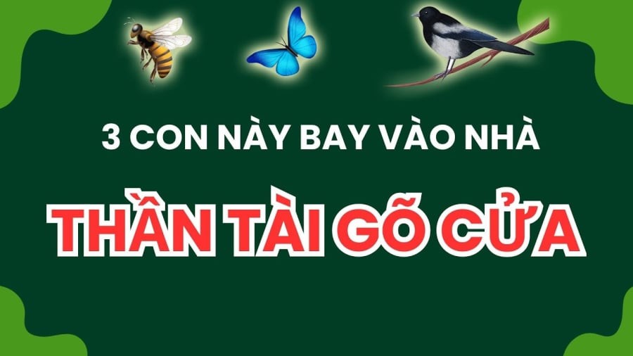 Những con vật mang tới may mắn cho gia đình bạn