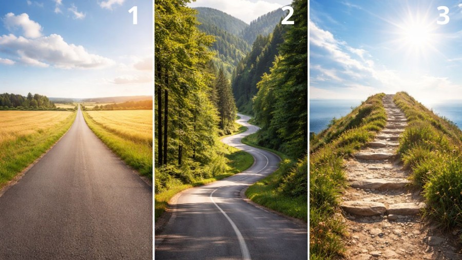 Bạn chọn con đường nào?