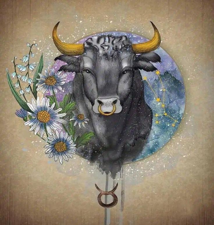 Kim Ngưu có ngày chủ nhật rực rỡ