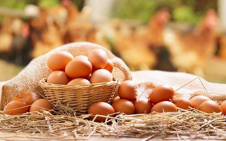 Khi đang sốt nên hạn chế trứng