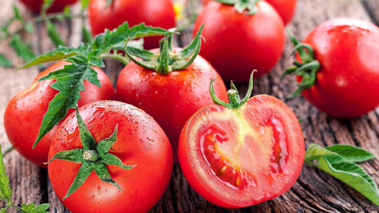 Nhiều người ăn cà chua sống, nhưng thực tế, cà chua ăn chín tốt hơn ăn sống