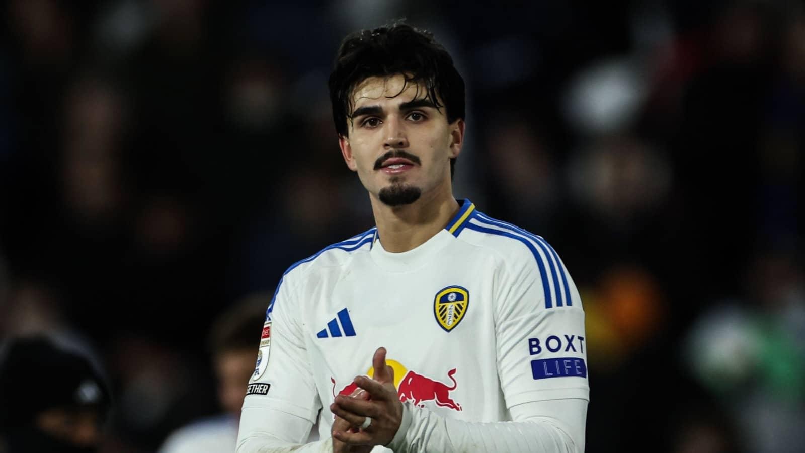  Struijk mang dòng máu Indonesia.