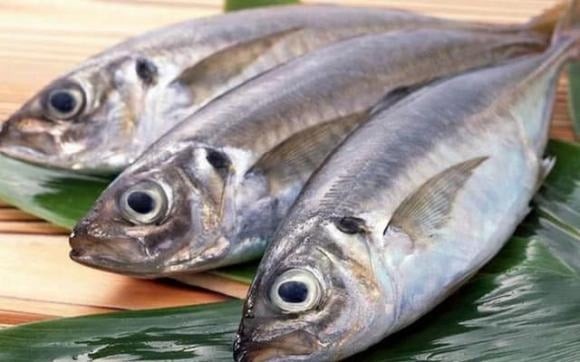 Cá biển thường cung cấp năng lượng cao hơn cá nước ngọt. 