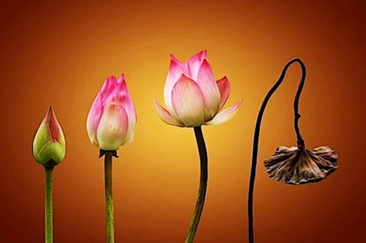 Dù bạn là ai, giàu hay nghèo đến đâu đều không thể thoát khỏi 5 loại “Nhân quả” này. (Ảnh minh họa)