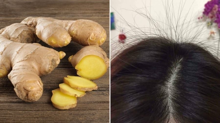 Gội đầu bằng gừng không chỉ giúp đánh bay gàu, làm sạch da đầu mà còn giảm gãy rụng