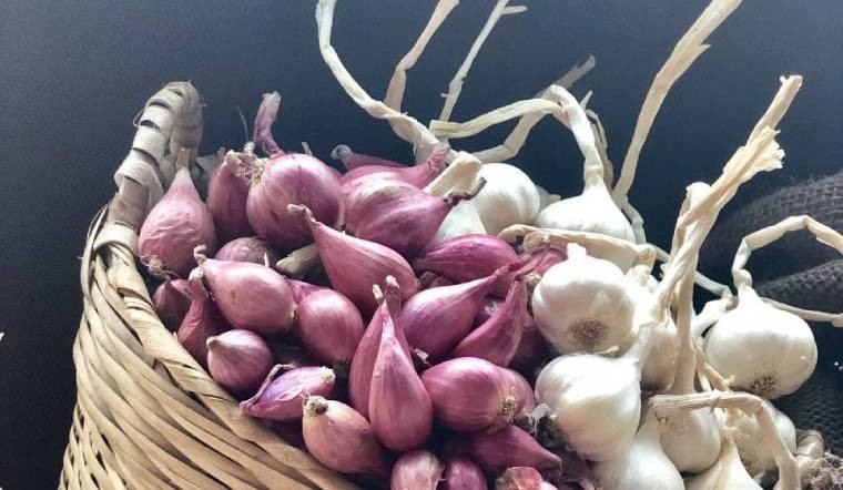 meo-bao-quan-hanh-tim-toi-kho-de-ca-nam-cung-khong-hong-202004260914370207