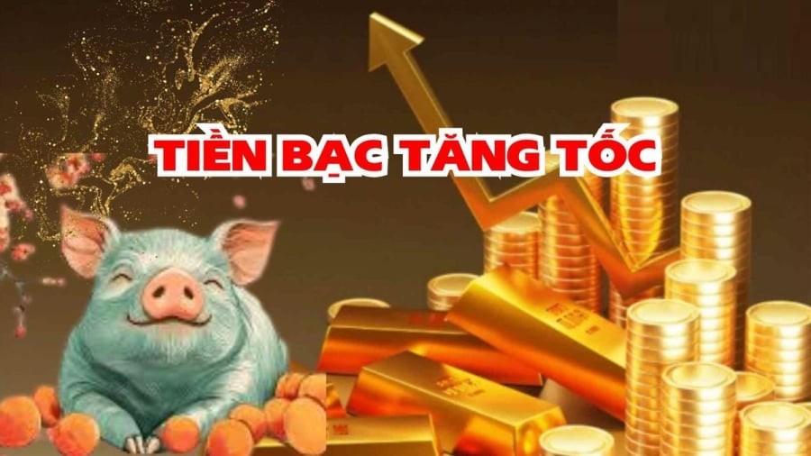 Tuổi Hợi thường bị đánh giá là hiền lành, chậm rãi, ít tham vọng. Nhưng thực tế, đây lại là con giáp có số tích lũy, đặc biệt khi làm ăn xa nhà. Tuổi Hợi không ồn ào, không khoe khoang, họ chọn cách đi chậm nhưng chắc, từng bước xây dựng nền tảng tài chính ổn định.

