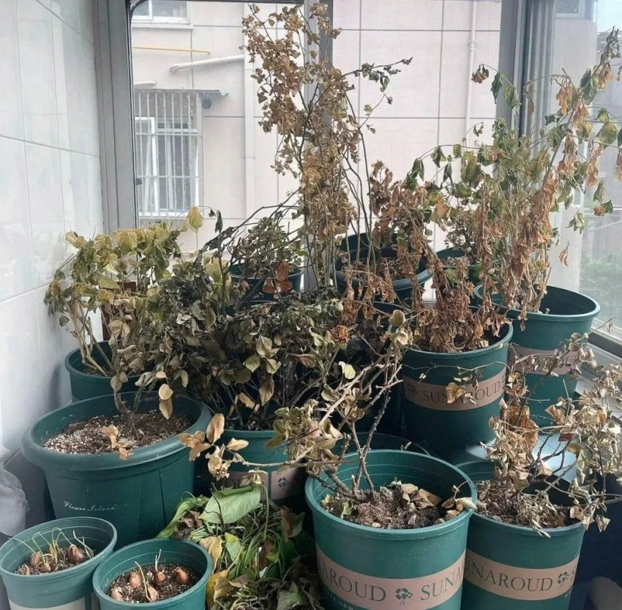 z7463221449865_0419f33599897f7d236006f971a8b040