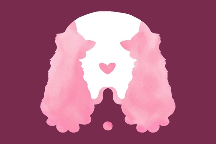 Bạn nhìn thấy 2 con gì?