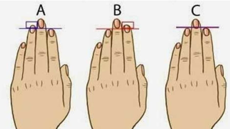 Bạn thuộc kiểu nào?