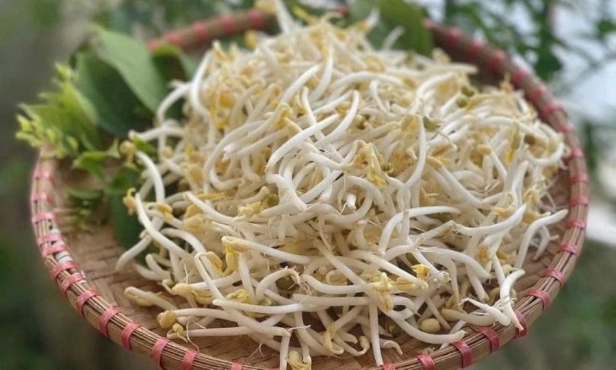 Các nghiên cứu trên động vật đã phát hiện ra rằng giá đỗ làm giảm lượng đường trong máu và cải thiện chức năng insulin...