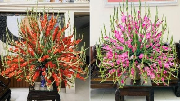 Hoa hồng và hoa ly là hai loại hoa chơi Tết phổ biến nhưng khá nhạy cảm, dễ bị thối gốc nếu cắm không đúng cách. 