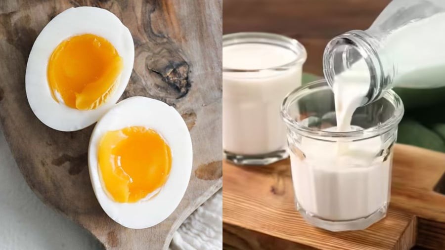 Sữa tươi, trứng là những thực phẩm bạn có thể ăn trước khi uống rượu bia giúp bảo vệ dạ dày.