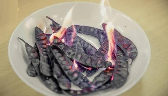 Những năm gần đây, việc đốt bồ kết trở nên phổ biến hơn, đặc biệt trong các gia đình có điều kiện.