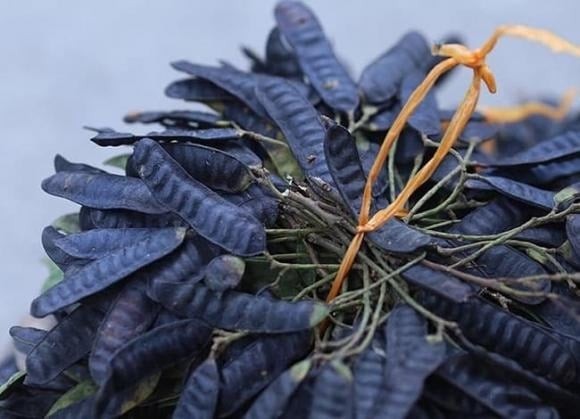 Việc sử dụng bồ kết để tạo hương thơm tự nhiên cho không gian sống còn phản ánh lối sống tinh tế, chú trọng sức khỏe và sự hài hòa với thiên nhiên. 