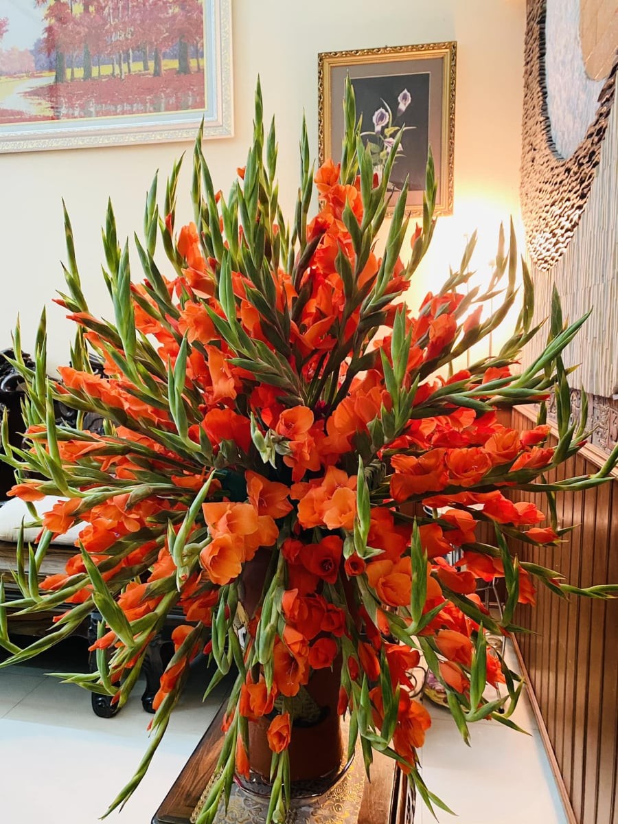 Hoa lay ơn (hoa dơn) là loài hoa quen thuộc trong mâm cúng và bình hoa Tết của nhiều gia đình Việt. 