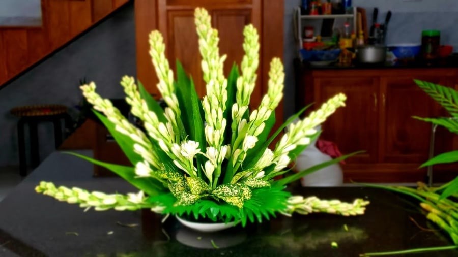 Hoa huệ trắng là loài hoa gắn liền với đời sống tâm linh và sinh hoạt thường ngày của người Việt. Với sắc trắng tinh khiết và hương thơm nhẹ nhàng, hoa huệ tượng trưng cho sự thanh tịnh, phúc đức và lòng hiếu kính.