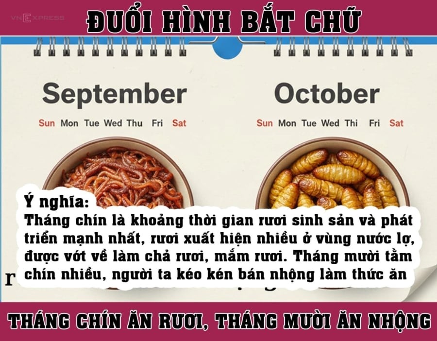 Đố bạn câu tục ngữ dân gian này là gì?