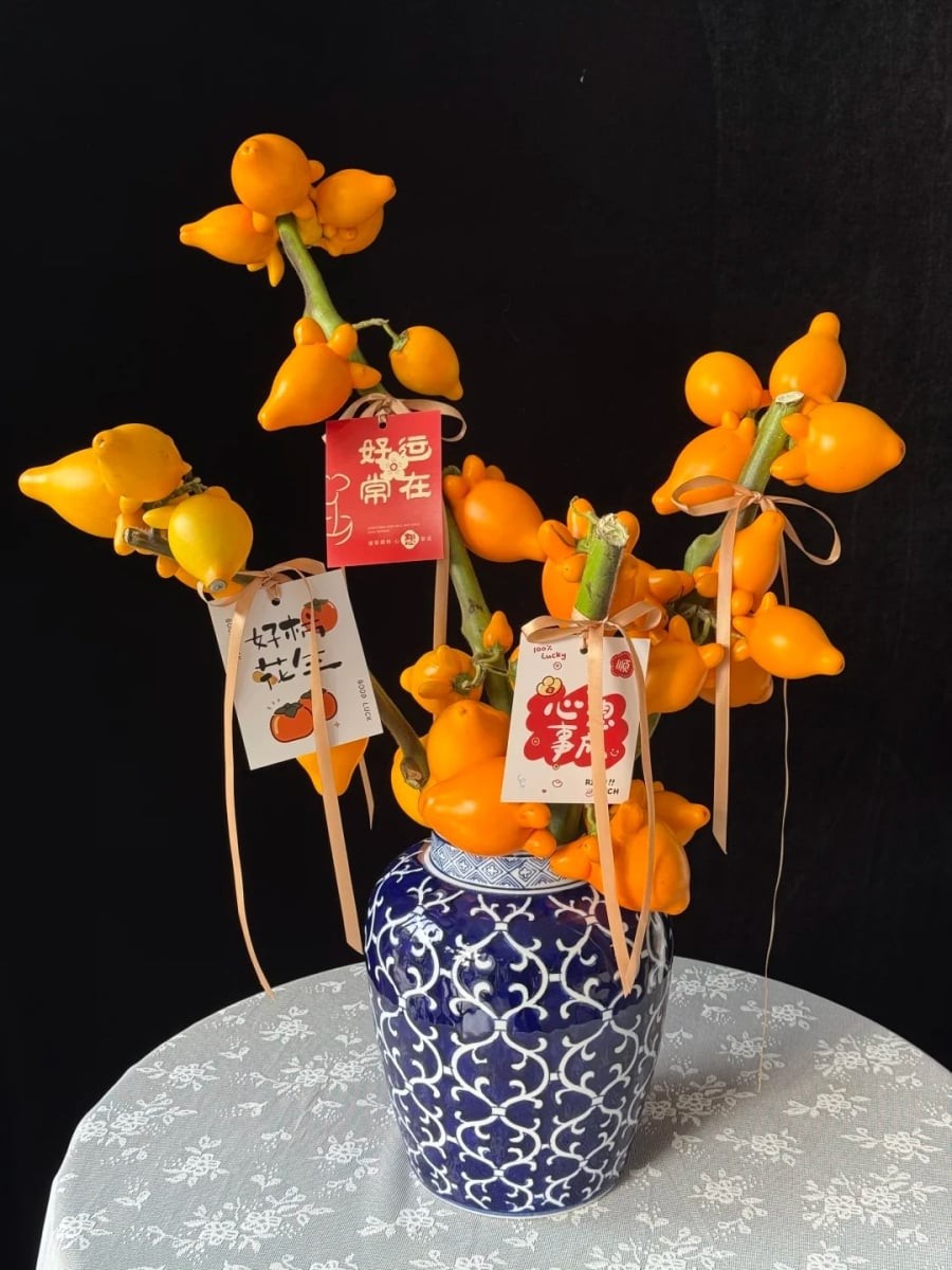 cay ngu dai dong duong2