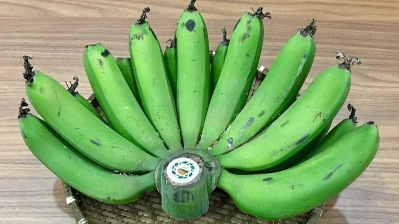 Chuối – Biểu tượng của che chở và sum vầy

