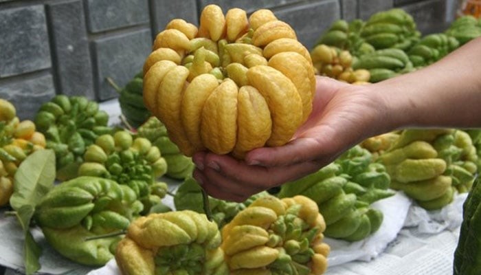 Phật thủ – Cầu bình an và phúc lành

