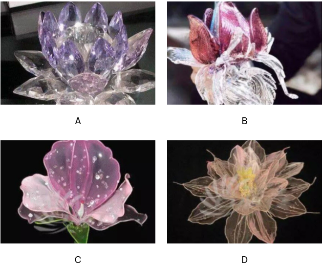 Hãy chọn 1 bông hoa nhé!