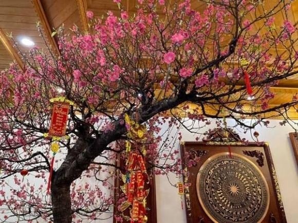 Nếu mai vàng là hình ảnh đặc trưng của Tết miền Nam thì hoa đào lại gắn liền với không khí Tết miền Bắc.