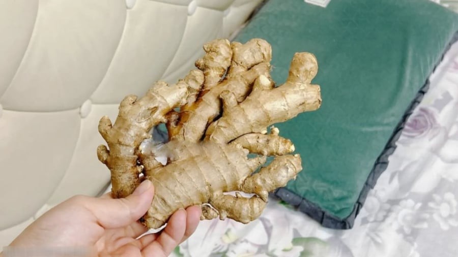 Đặt gừng cạnh gối khi ngủ sẽ giúp an thần, giảm các bệnh hô hấp.