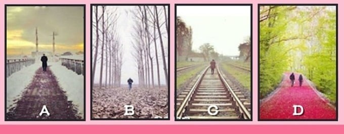 Hãy chọn 1 con đường bạn muốn đi nhé!