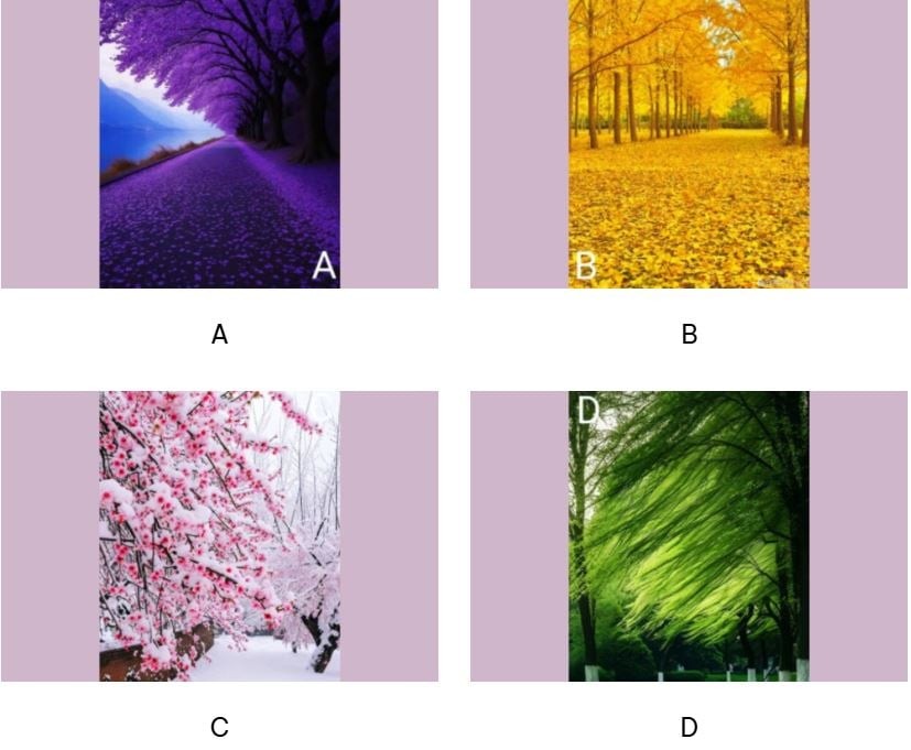 Chọn 1 phong cảnh bạn thích nhé!