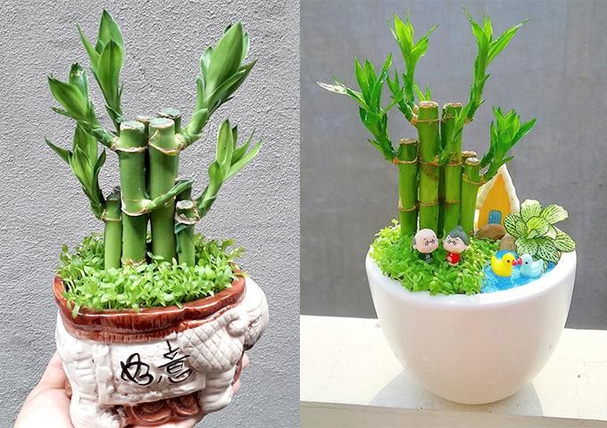 image14-1657264327-185-width680height480