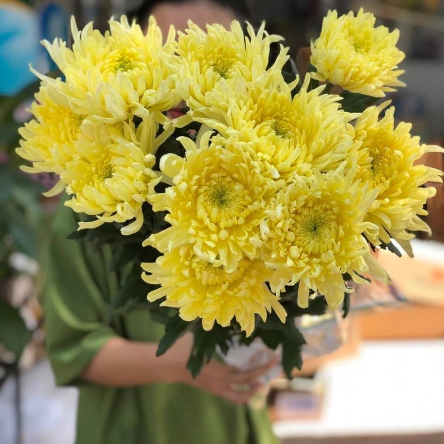 Hoa cúc vàng là loại hoa quen thuộc trên bàn thờ gia tiên và trong các dịp lễ quan trọng. Theo quan niệm dân gian, hoa cúc tượng trưng cho sự trường thọ, phúc khí và bền vững.