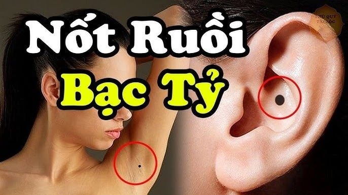 Nhân tướng học suy cho cùng chỉ phản ánh điểm xuất phát, giống như “bảng thành tích tiền kiếp” hay món quà tổ tiên để lại. Nhưng đích đến của mỗi người vẫn nằm ở tâm và hành động trong hiện tại.

