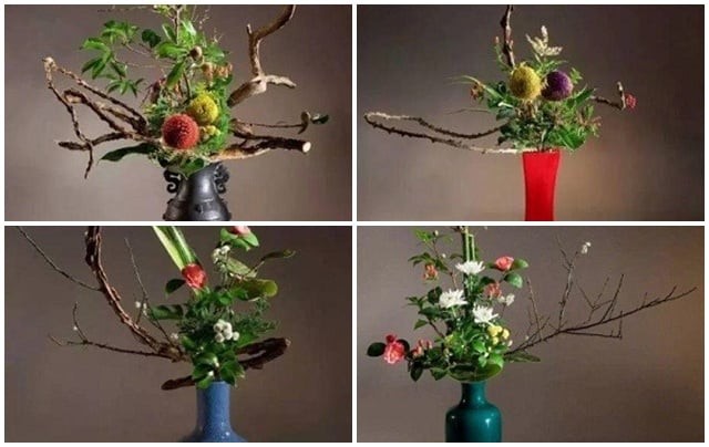 Chọn 1 cây cảnh nhé!