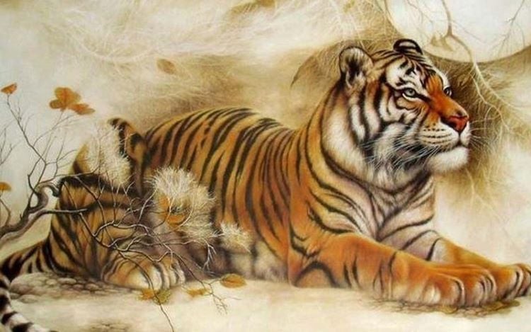 Người tuổi Dần vốn mạnh mẽ, kiên trì nhưng thời gian vừa qua có thể đã phải gánh nhiều áp lực. 