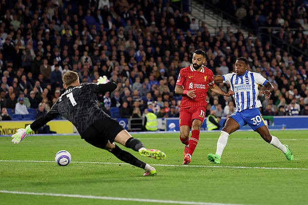 Liverpool chuẩn bị tiếp đón Brighton trên sân nhà.